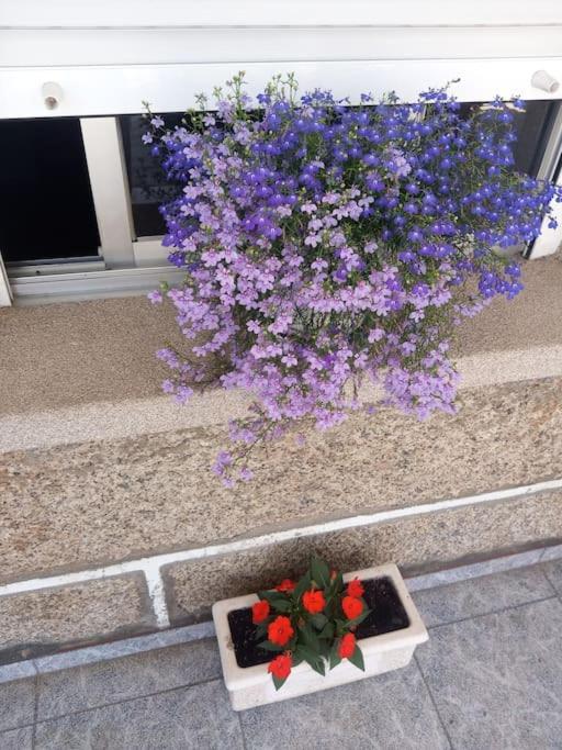 Apartamento En San Vicente De О Грове Екстериор снимка